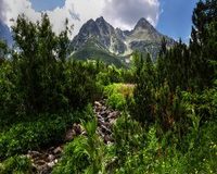 Turistické trasy Vysoké Tatry v lete